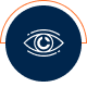 vision